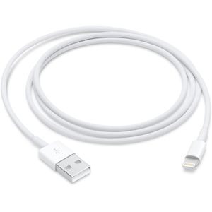 Apple Cable Lightning a USB-C (1 m) Generico - Usado