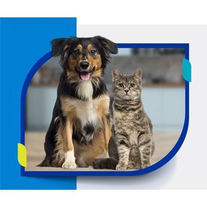 Plan Mascotas Global Gato - Mensual Seguros SURA