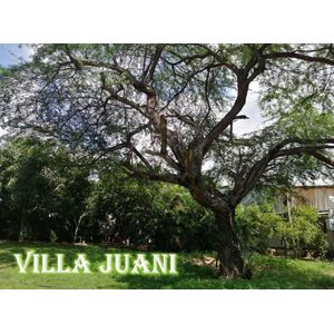 Villa Juani Santa Marta
