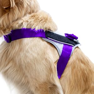 Arnes Minitrabajador Gris Morado Talla S